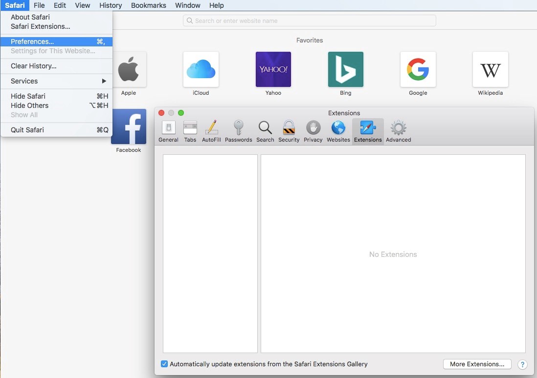 Manage Extension Window